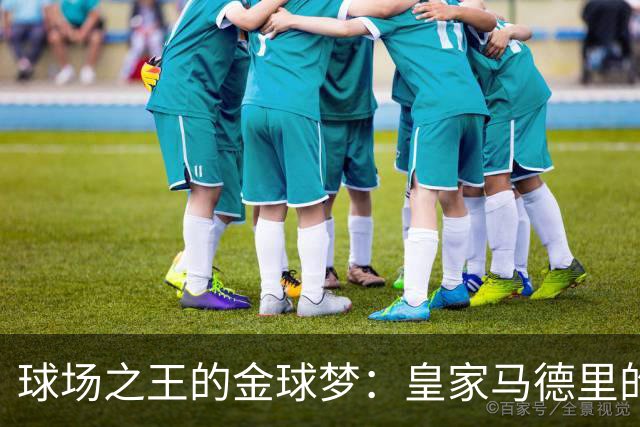 球场之王的金球梦：皇家马德里的挑战与梦游
